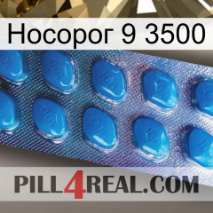 Носорог 9 3500 viagra1